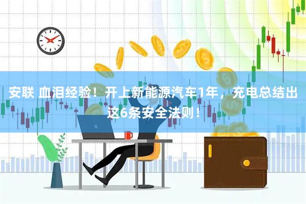 安联 血泪经验！开上新能源汽车1年，充电总结出这6条安全法则！