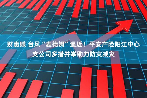 财惠赚 台风“麦德姆”逼近！平安产险阳江中心支公司多措并举助力防灾减灾