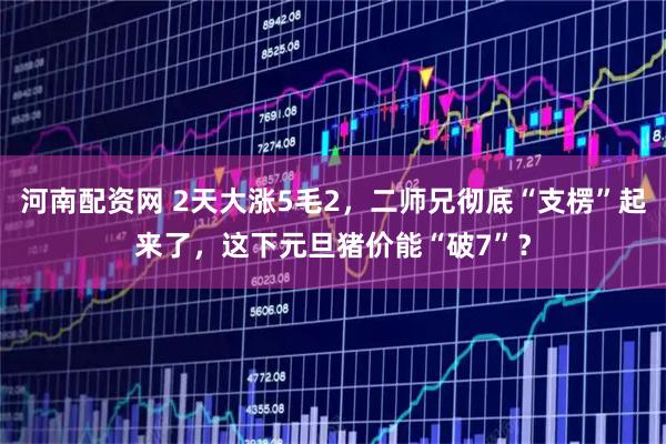 河南配资网 2天大涨5毛2，二师兄彻底“支楞”起来了，这下元旦猪价能“破7”？